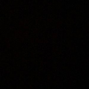 Meet your Posher, Abigail